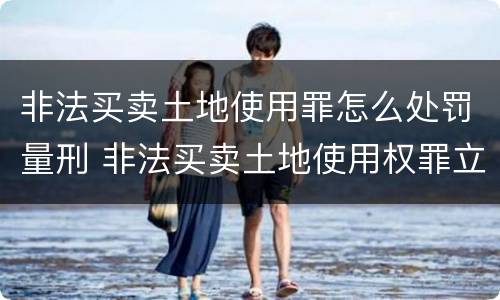 非法买卖土地使用罪怎么处罚量刑 非法买卖土地使用权罪立案标准