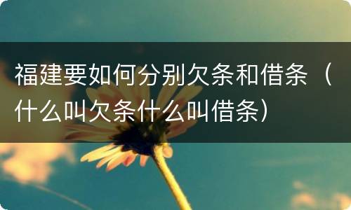 福建要如何分别欠条和借条（什么叫欠条什么叫借条）