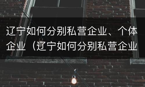 辽宁如何分别私营企业、个体企业（辽宁如何分别私营企业,个体企业,公司）