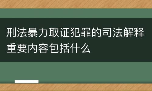 刑法暴力取证犯罪的司法解释重要内容包括什么