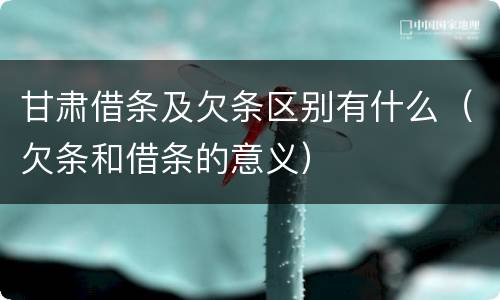 甘肃借条及欠条区别有什么（欠条和借条的意义）