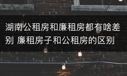 湖南公租房和廉租房都有啥差别 廉租房子和公租房的区别