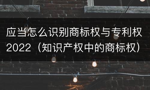 应当怎么识别商标权与专利权2022（知识产权中的商标权）