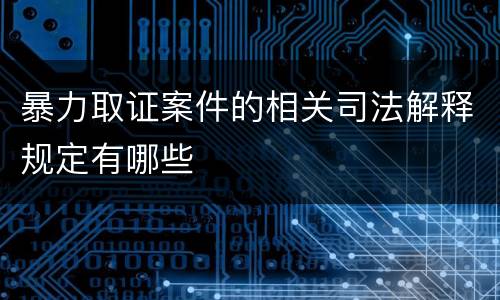 暴力取证案件的相关司法解释规定有哪些