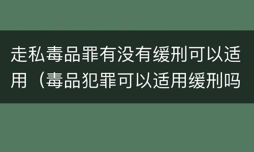 走私毒品罪有没有缓刑可以适用（毒品犯罪可以适用缓刑吗）