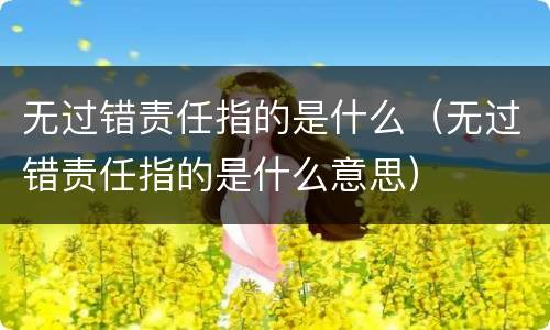 无过错责任指的是什么（无过错责任指的是什么意思）