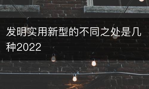 发明实用新型的不同之处是几种2022