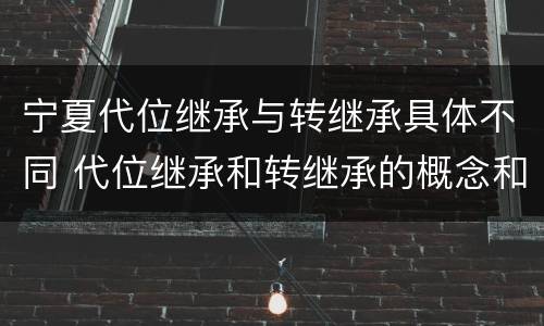 宁夏代位继承与转继承具体不同 代位继承和转继承的概念和适用范围