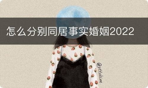 怎么分别同居事实婚姻2022