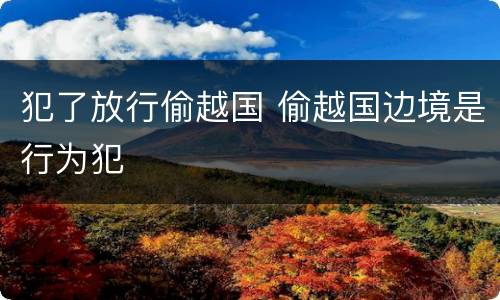 犯了放行偷越国 偷越国边境是行为犯