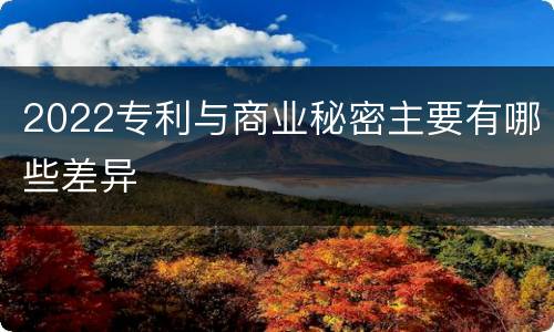2022专利与商业秘密主要有哪些差异