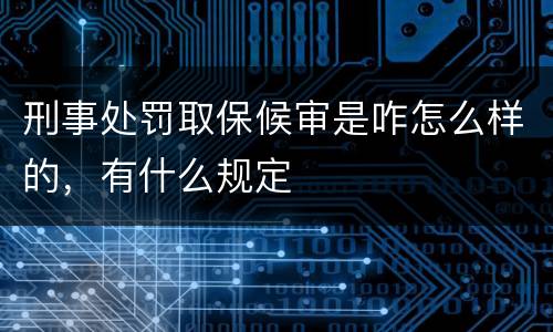 刑事处罚取保候审是咋怎么样的，有什么规定