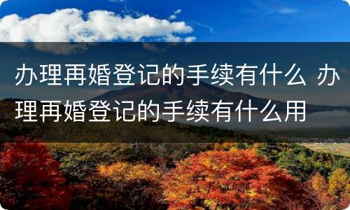 办理再婚登记的手续有什么 办理再婚登记的手续有什么用