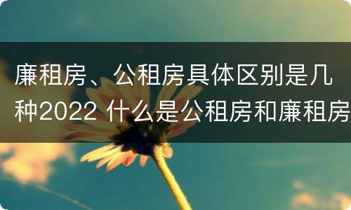 廉租房、公租房具体区别是几种2022 什么是公租房和廉租房