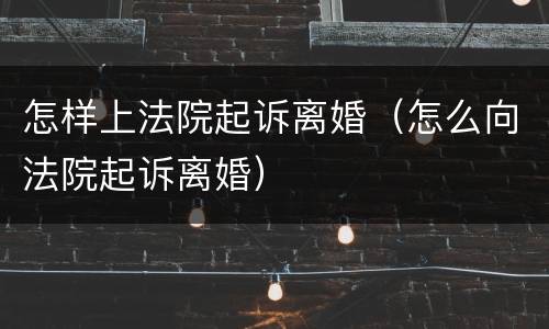 怎样上法院起诉离婚（怎么向法院起诉离婚）