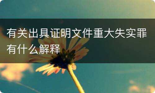 有关出具证明文件重大失实罪有什么解释