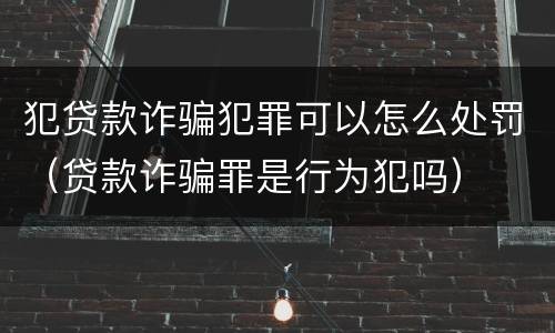 犯贷款诈骗犯罪可以怎么处罚（贷款诈骗罪是行为犯吗）
