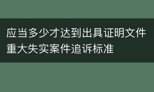 应当多少才达到出具证明文件重大失实案件追诉标准