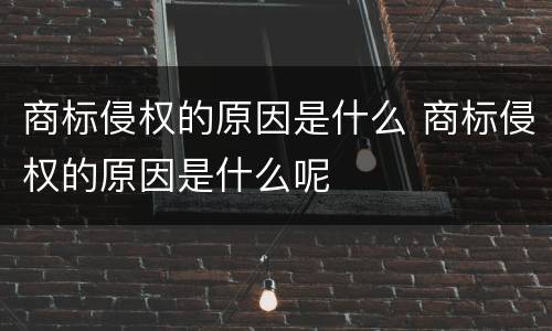 商标侵权的原因是什么 商标侵权的原因是什么呢
