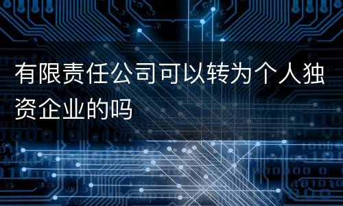 有限责任公司可以转为个人独资企业的吗