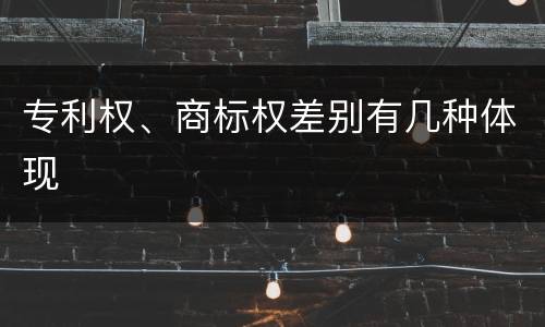 专利权、商标权差别有几种体现