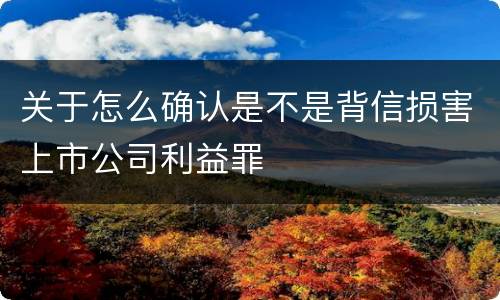 关于怎么确认是不是背信损害上市公司利益罪