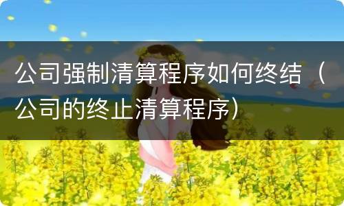 公司强制清算程序如何终结（公司的终止清算程序）