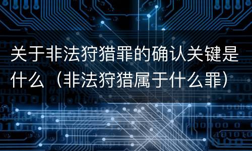 关于非法狩猎罪的确认关键是什么（非法狩猎属于什么罪）