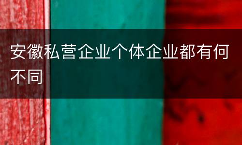 安徽私营企业个体企业都有何不同