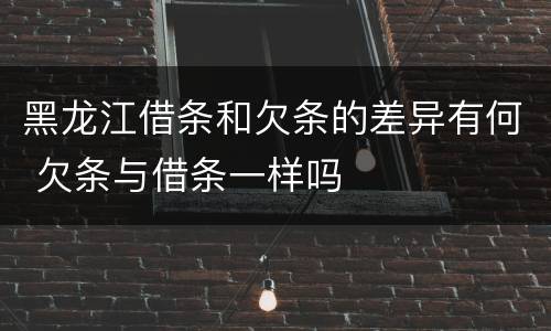 黑龙江借条和欠条的差异有何 欠条与借条一样吗
