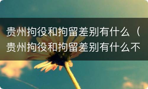 贵州拘役和拘留差别有什么（贵州拘役和拘留差别有什么不同）