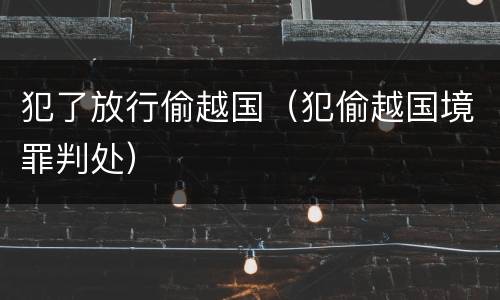 犯了放行偷越国（犯偷越国境罪判处）