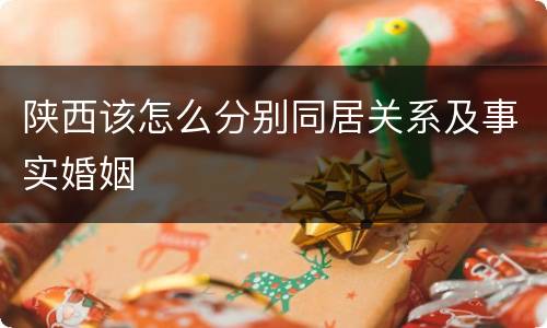 陕西该怎么分别同居关系及事实婚姻
