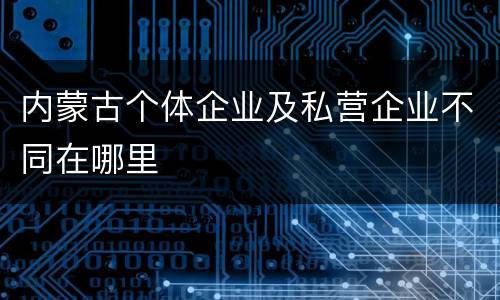 内蒙古个体企业及私营企业不同在哪里