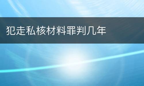 犯走私核材料罪判几年
