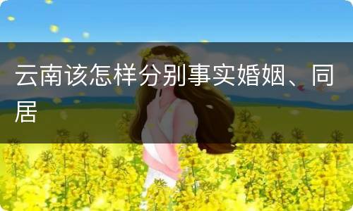 云南该怎样分别事实婚姻、同居