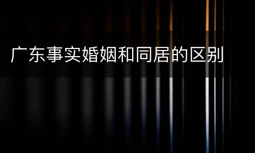 广东事实婚姻和同居的区别