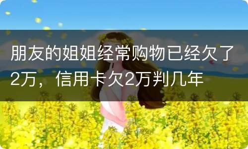 朋友的姐姐经常购物已经欠了2万，信用卡欠2万判几年
