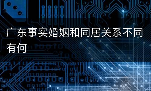 广东事实婚姻和同居关系不同有何