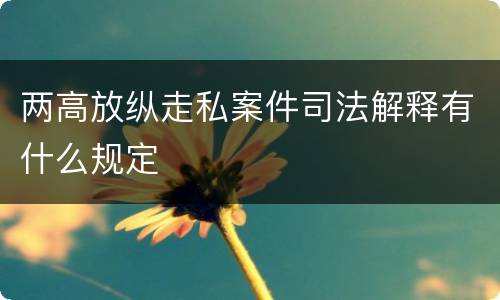 两高放纵走私案件司法解释有什么规定