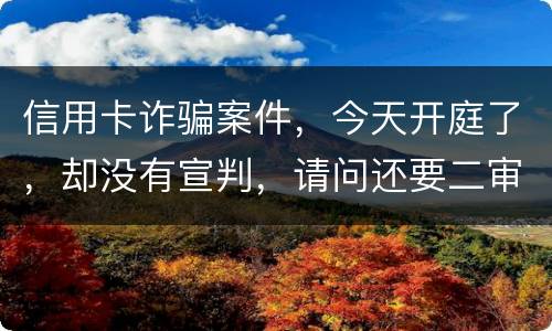 信用卡诈骗案件，今天开庭了，却没有宣判，请问还要二审吗，或者什么时候能判决