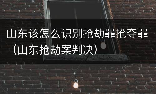 山东该怎么识别抢劫罪抢夺罪（山东抢劫案判决）