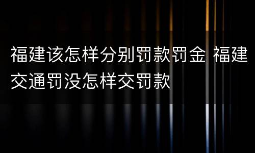 福建该怎样分别罚款罚金 福建交通罚没怎样交罚款