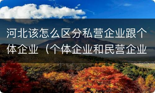 河北该怎么区分私营企业跟个体企业（个体企业和民营企业的区别）