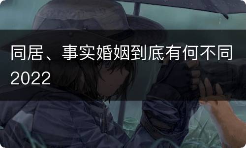 同居、事实婚姻到底有何不同2022
