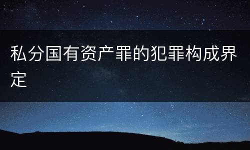 私分国有资产罪的犯罪构成界定