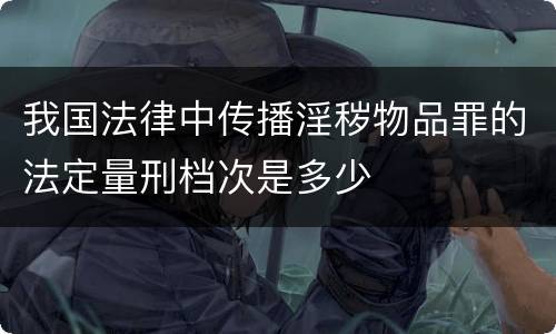 我国法律中传播淫秽物品罪的法定量刑档次是多少