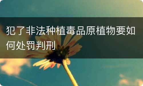 犯了非法种植毒品原植物要如何处罚判刑