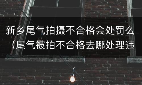 新乡尾气拍摄不合格会处罚么（尾气被拍不合格去哪处理违章）