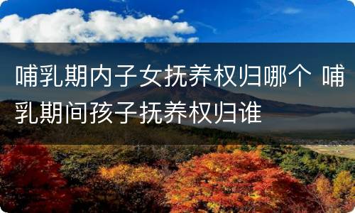 哺乳期内子女抚养权归哪个 哺乳期间孩子抚养权归谁